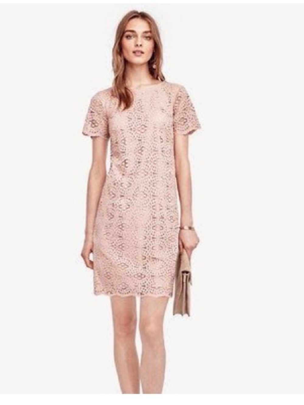 Blush Pink Lace Shift Dress